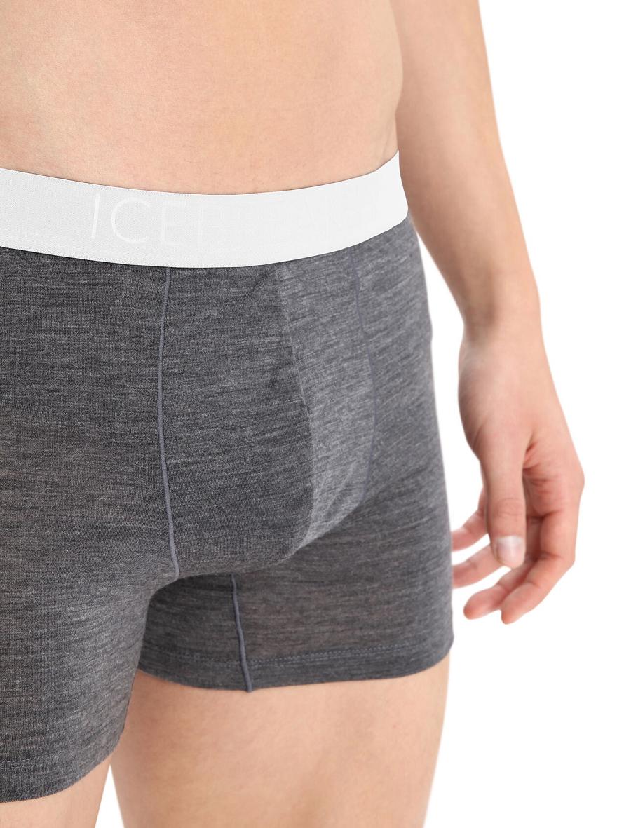 Bielizny Icebreaker Cool-Lite™ Merino Anatomica Boxers Męskie Taupe | PL 1628MQZA